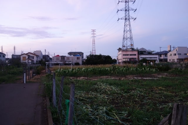 生産緑地は三大都市圏に集中しています